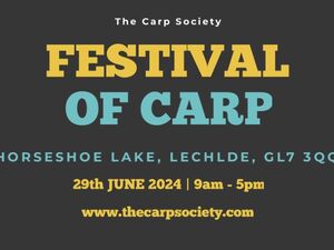 Festival of Carp 2024