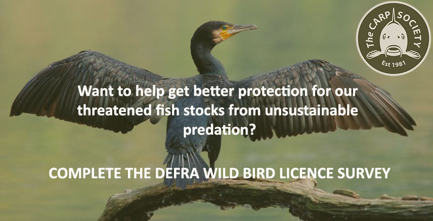 Call to action - Defra Bird Licence Survey